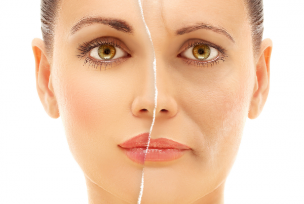 Fight Aging
