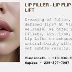 Lip FIller - Lip Flip - PDO Lip Lift